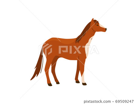 Brown horse stand vector illustration. Isolated on white background. Mare equine in simple cartoon flat style Brown horse stand vector illustration. Isolated on white background. Mare equine in simple cartoon flat style 69509247