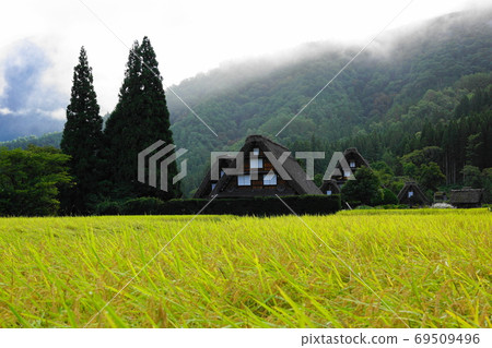 白川鄉,三個秋天小屋的景色 白川鄉,三個秋天小屋的景色 69509496
