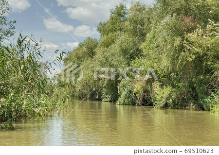 Danube biosphere reserve Belgorodske river summer landscape in Vilkove, Ukraine. 69510623