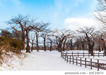 雪景中的五棱郭 雪景中的五棱郭 69510673