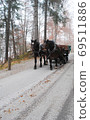 Sightseeing carriage at Neuschwanstein Castle, Germany 69511886