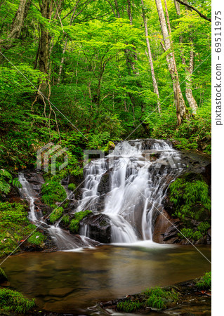 Gifu / Takayama / Summer Utsue Forty-eight Waterfall Gifu / Takayama / Summer Utsue Forty-eight Waterfall 69511975