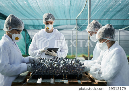 Young agronomists growing seedling in modern hothouse 69512179