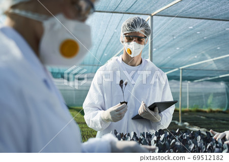 Two collegues working with touchpad and seedling Two collegues working with touchpad and seedling 69512182