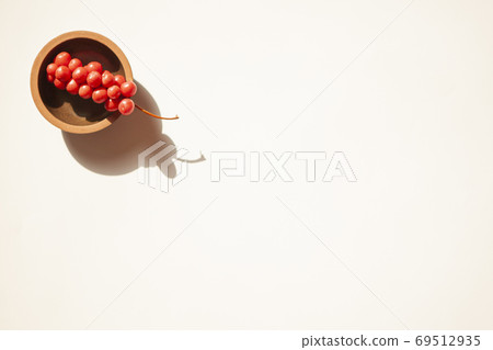 五味子 五味子 69512935