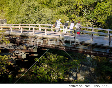 Saruibashi Saruibashi 69513549