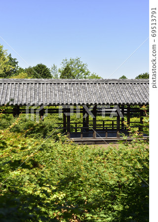 從本莊花園眺望通天橋 從本莊花園眺望通天橋 69513791