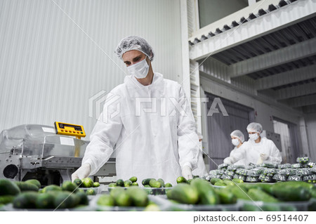 Three people working in a packing house 69514407