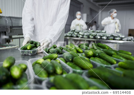 Warehouse workers in uniforms in a packing house 69514408