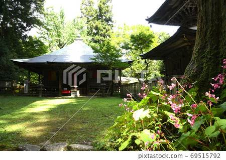 Iwayu-ji Temple (main hall) where Begonia grandis blooms 69515792