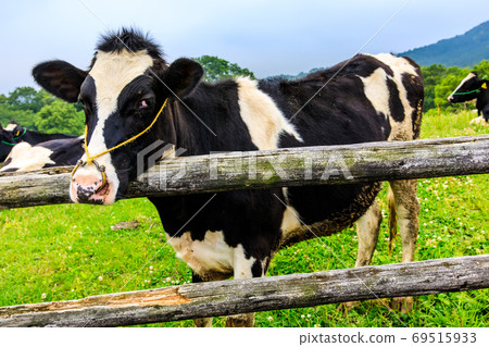 Ayuyama Ranch Mo Mo Land [Minami-ku, Fukuoka City, Fukuoka Prefecture] 69515933