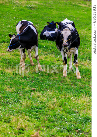 Ayuyama Ranch Mo Mo Land [Minami-ku, Fukuoka City, Fukuoka Prefecture] 69515935