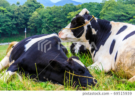 Ayuyama Ranch Mo Mo Land [Minami-ku, Fukuoka City, Fukuoka Prefecture] 69515939
