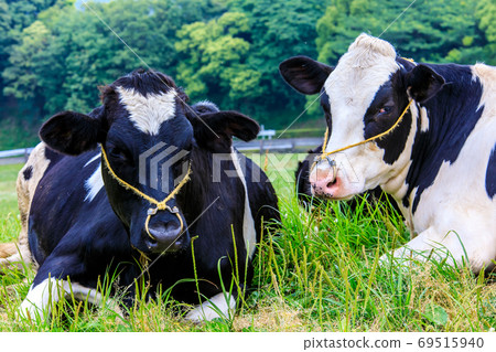 Ayuyama Ranch Mo Mo Land [Minami-ku, Fukuoka City, Fukuoka Prefecture] 69515940