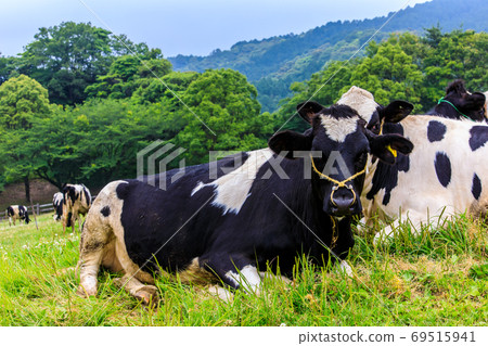 Ayuyama Ranch Mo Mo Land [Minami-ku, Fukuoka City, Fukuoka Prefecture] 69515941