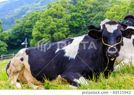 Ayuyama Ranch Mo Mo Land [Minami-ku, Fukuoka City, Fukuoka Prefecture] 69515942
