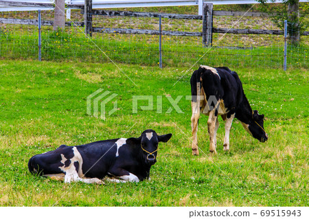Ayuyama Ranch Mo Mo Land [Minami-ku, Fukuoka City, Fukuoka Prefecture] 69515943