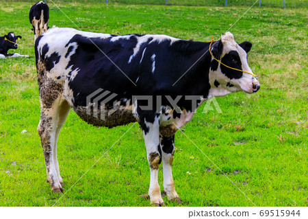 Ayuyama Ranch Mo Mo Land [Minami-ku, Fukuoka City, Fukuoka Prefecture] 69515944