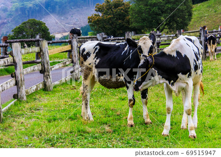Ayuyama Ranch Mo Mo Land [Minami-ku, Fukuoka City, Fukuoka Prefecture] 69515947