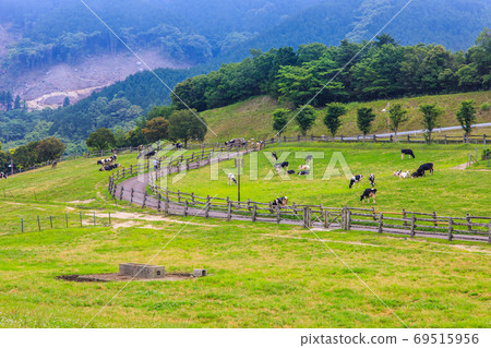 Ayuyama Ranch Mo Mo Land [Minami-ku, Fukuoka City, Fukuoka Prefecture] 69515956