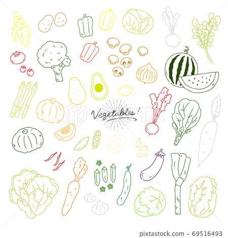Hand-drawn illustration icon of various vegetables [white background] 69516493