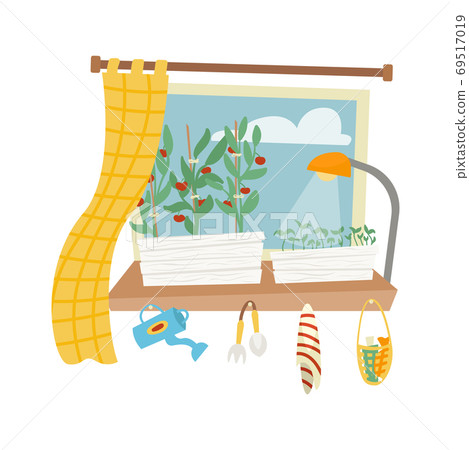 Beds with seedlings for growing vegetables on the window in the apartment. Environmental consumption. Farm city. Beds with seedlings for growing vegetables on the window in the apartment. Environmental consumption. Farm city. 69517019