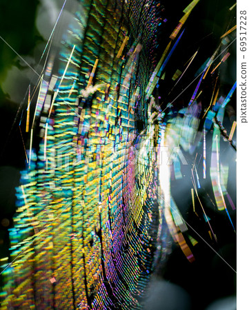 閃亮的蜘蛛網 69517228