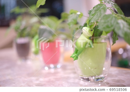 Frog figurine on the table 69518506