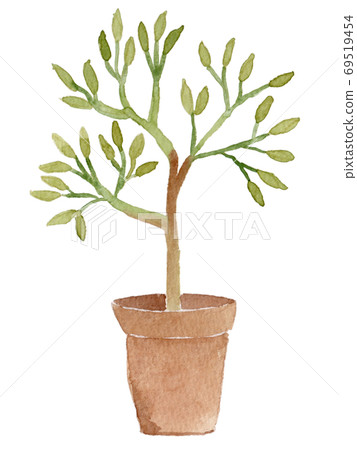 Watercolor illustration of potted tree 69519454