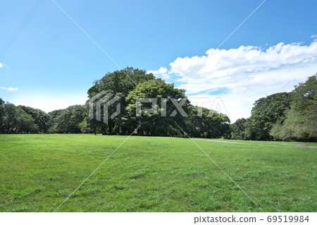 一個公園的高分辨率照片,令人耳目一新的藍天和綠化帶 一個公園的高分辨率照片,令人耳目一新的藍天和綠化帶 69519984