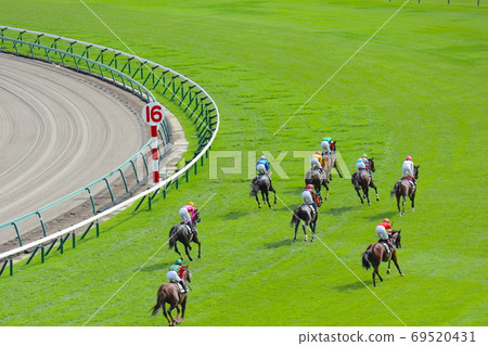 Thoroughbred running on the turf course Thoroughbred running on the turf course 69520431