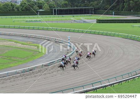 A group of horses running on a dirt course 69520447