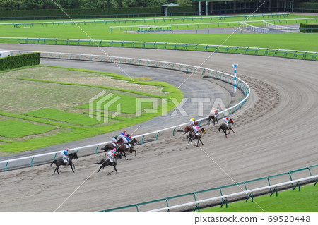 A group of horses running on a dirt course 69520448