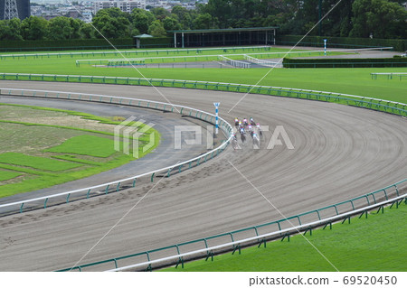 A group of horses running on a dirt course 69520450