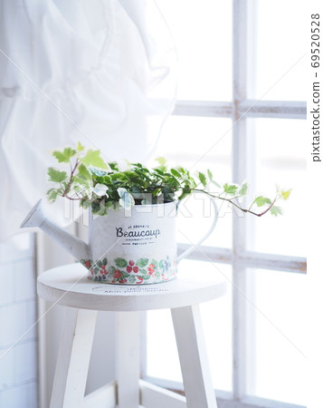 Natural interior miscellaneous goods Plants on the windowsill 69520528