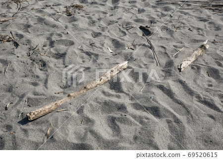 Driftwood launched on the beach Driftwood launched on the beach 69520615