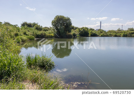 Niwakubo Wands (Yodo River System / September 2020) 69520730