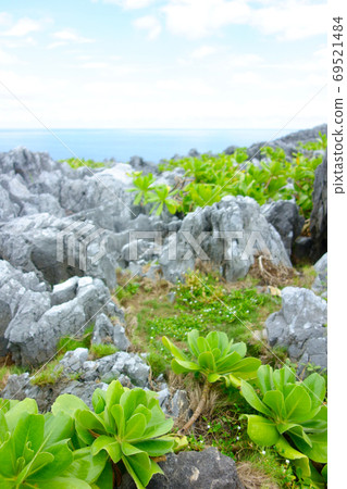Cape Hedo Green-covered land 69521484