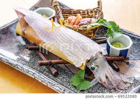 Squid's living construction 69522080