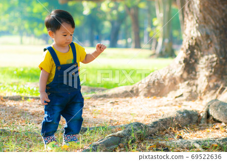 Adorable asian boy playing in tree forest park 69522636