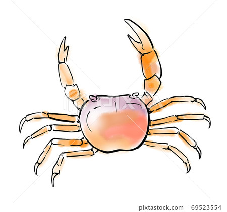 水彩插圖淡水生物薩瓦蟹 水彩插圖淡水生物薩瓦蟹 69523554