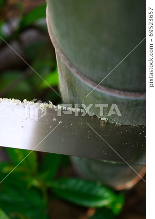 切斷毛竹 69523657