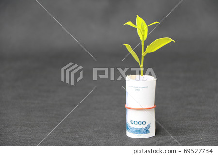 Rolled banknote money one thousand Cambodian Riel and young plan 69527734