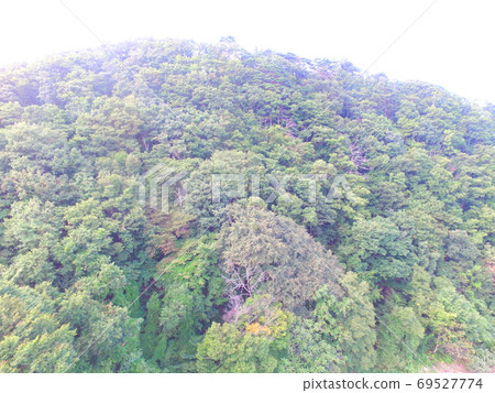 Aerial photographing at the mountain forest ~ drone (Inawashiro Lake · West Bank / Aizu Wakamatsu City, Fukushima Prefecture, Akai Character House) 69527774