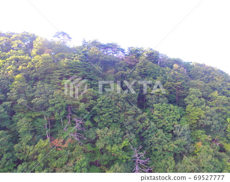 Aerial photographing at the mountain forest ~ drone (Inawashiro Lake · West Bank / Aizu Wakamatsu City, Fukushima Prefecture, Akai Character House) 69527777