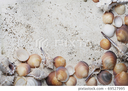 Seashells on the light marble background Seashells on the light marble background 69527995