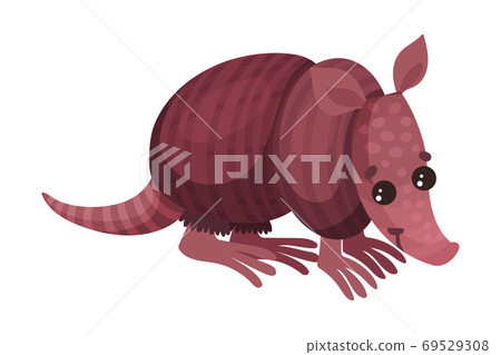 Armadillos with Armored Shell as African Animal Vector Illustration 69529308