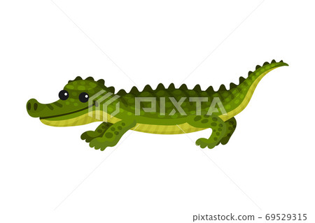 Alligator Crocodile with Long Tail and Sharp Teeth as African Animal Vector Illustration 69529315