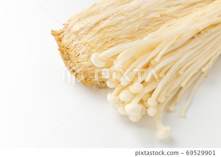 榎 榎 69529901