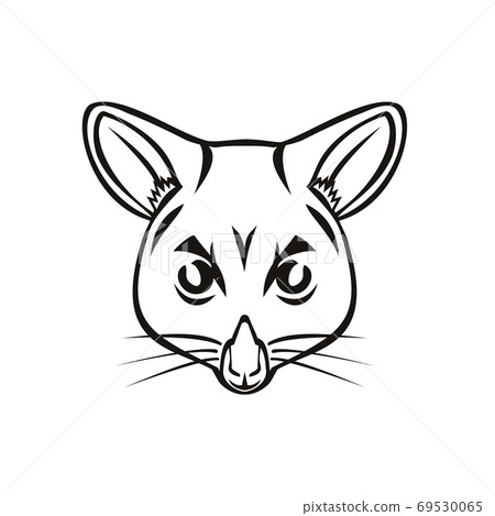 Head of Common Brushtail Possum Trichosurus Vulpecula Semi-Arboreal Marsupial Mascot Black and White Head of Common Brushtail Possum Trichosurus Vulpecula Semi-Arboreal Marsupial Mascot Black and White 69530065